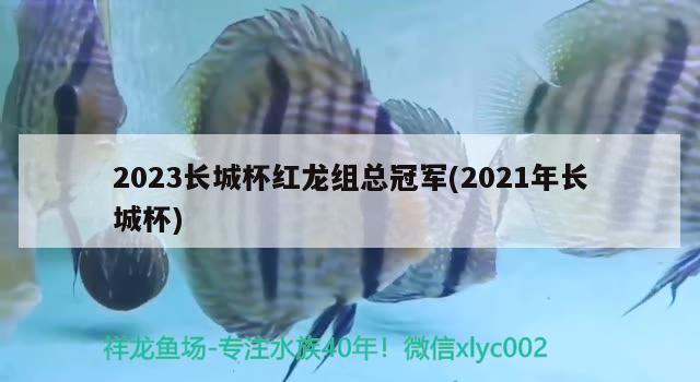 2023长城杯红龙组总冠军(2021年长城杯)