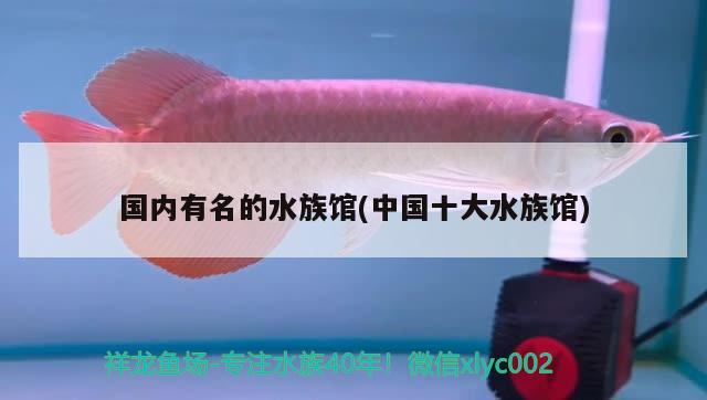 国内有名的水族馆(中国十大水族馆) 2024第28届中国国际宠物水族展览会CIPS（长城宠物展2024 CIPS）