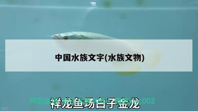 中国水族文字(水族文物)