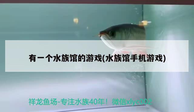 有一个水族馆的游戏(水族馆手机游戏) 2024第28届中国国际宠物水族展览会CIPS（长城宠物展2024 CIPS）