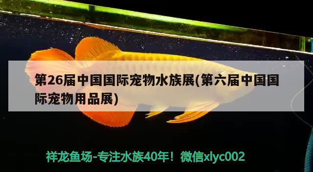 第26届中国国际宠物水族展(第六届中国国际宠物用品展)