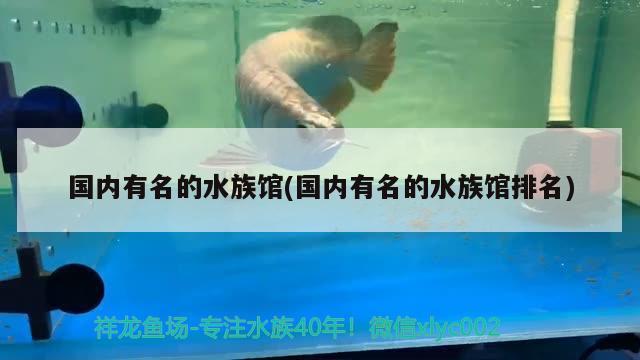 国内有名的水族馆(国内有名的水族馆排名) 2024第28届中国国际宠物水族展览会CIPS（长城宠物展2024 CIPS） 第1张