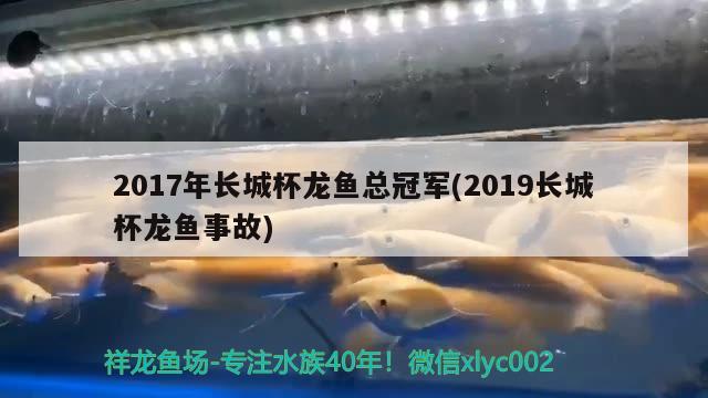 2017年长城杯龙鱼总冠军(2019长城杯龙鱼事故)