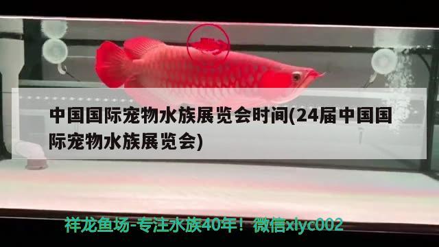 中国国际宠物水族展览会时间(24届中国国际宠物水族展览会)