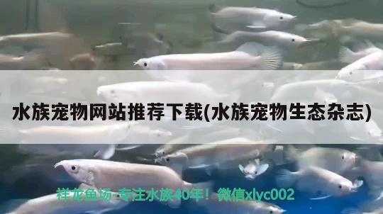 水族宠物网站推荐下载(水族宠物生态杂志) 2024第28届中国国际宠物水族展览会CIPS（长城宠物展2024 CIPS）