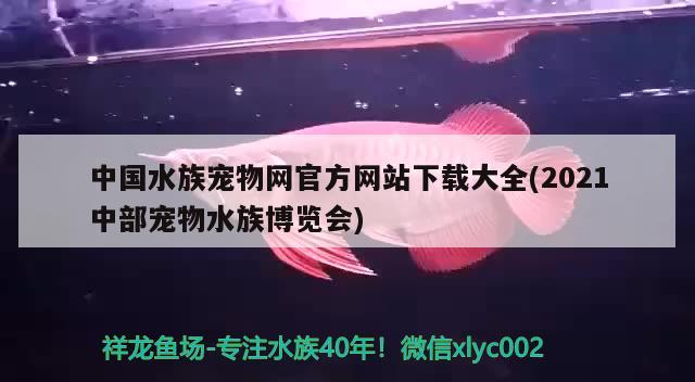 中国水族宠物网官方网站下载大全(2021中部宠物水族博览会) 2024第28届中国国际宠物水族展览会CIPS（长城宠物展2024 CIPS）