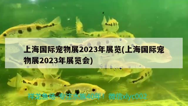 上海国际宠物展2023年展览(上海国际宠物展2023年展览会) 2024第28届中国国际宠物水族展览会CIPS（长城宠物展2024 CIPS）