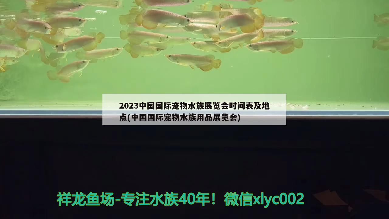 2023中国国际宠物水族展览会时间表及地点(中国国际宠物水族用品展览会) 水族展会