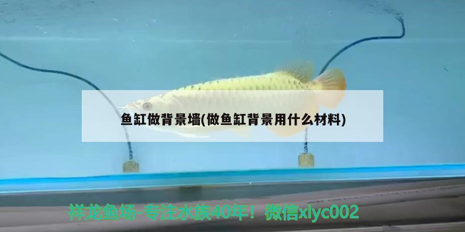 鱼缸做背景墙(做鱼缸背景用什么材料) 祥龙水族护理水