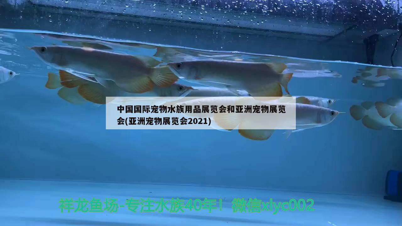 中国国际宠物水族用品展览会和亚洲宠物展览会(亚洲宠物展览会2021) 水族用品