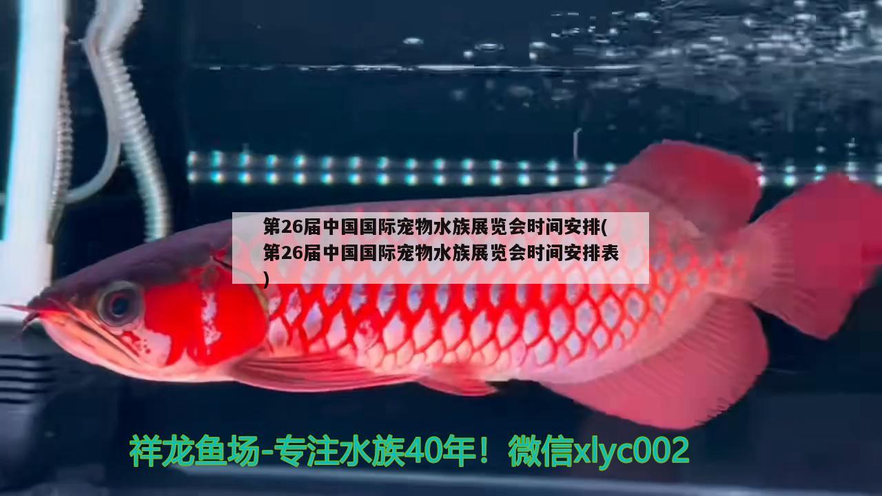 第26届中国国际宠物水族展览会时间安排(第26届中国国际宠物水族展览会时间安排表) 水族展会