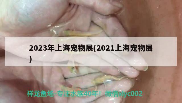 2023年上海宠物展(2021上海宠物展) 2024第28届中国国际宠物水族展览会CIPS（长城宠物展2024 CIPS）