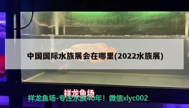 中国国际水族展会在哪里(2022水族展)