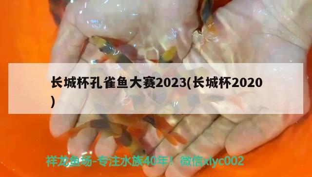 长城杯孔雀鱼大赛2023(长城杯2020) 第27届cips长城杯宠物水族博览会cips2023