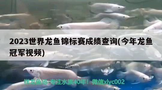 2023世界龙鱼锦标赛成绩查询(今年龙鱼冠军视频) 2024第28届中国国际宠物水族展览会CIPS（长城宠物展2024 CIPS）