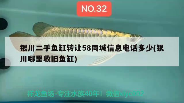 银川二手鱼缸转让58同城信息电话多少(银川哪里收旧鱼缸) 过滤设备