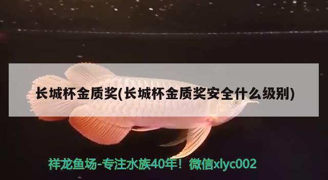 长城杯金质奖(长城杯金质奖安全什么级别) 2024第28届中国国际宠物水族展览会CIPS（长城宠物展2024 CIPS）