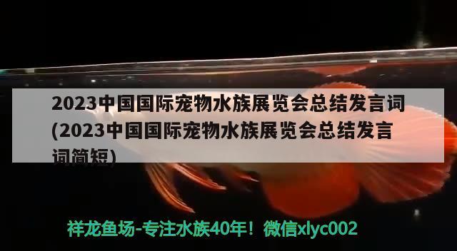 2023中国国际宠物水族展览会总结发言词(2023中国国际宠物水族展览会总结发言词简短) 水族展会