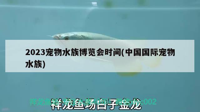 2023宠物水族博览会时间(中国国际宠物水族) 2024第28届中国国际宠物水族展览会CIPS（长城宠物展2024 CIPS）