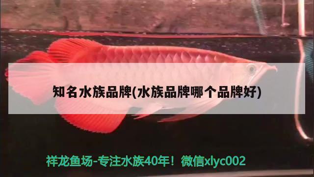 知名水族品牌(水族品牌哪个品牌好)