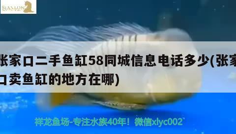 张家口二手鱼缸58同城信息电话多少(张家口卖鱼缸的地方在哪) 鱼缸净水剂