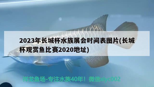 2023年长城杯水族展会时间表图片(长城杯观赏鱼比赛2020地址)