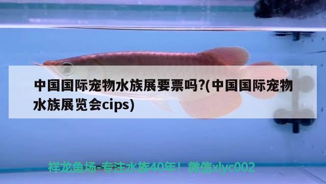 中国国际宠物水族展要票吗?(中国国际宠物水族展览会cips) 水族展会