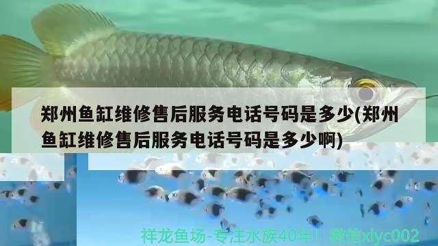 2023广州国际宠物水族展(广州宠物水族展会)