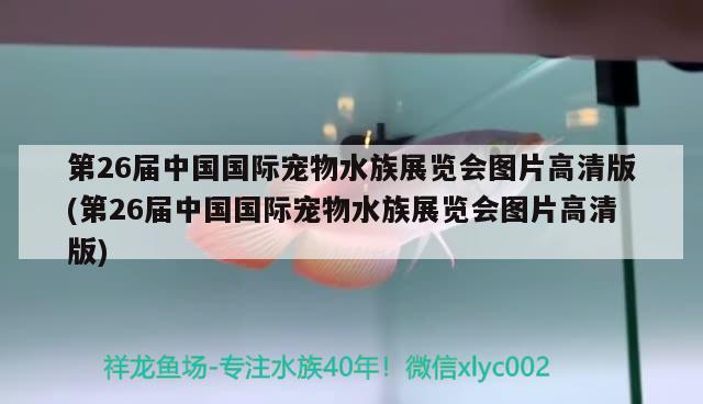 第26届中国国际宠物水族展览会图片高清版(第26届中国国际宠物水族展览会图片高清版) 水族展会