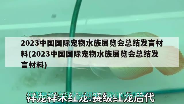 2023中国国际宠物水族展览会总结发言材料(2023中国国际宠物水族展览会总结发言材料)