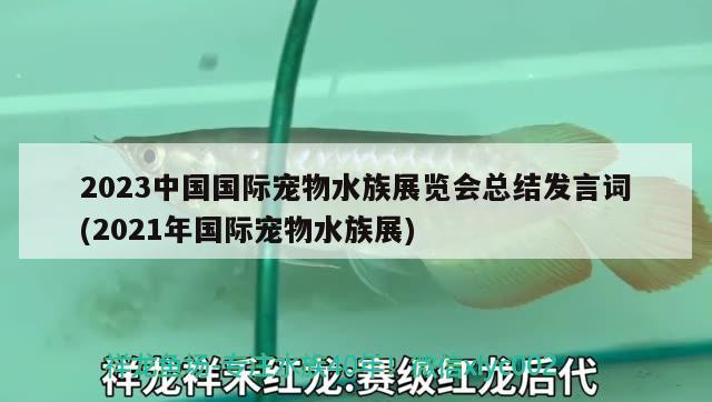 2023中国国际宠物水族展览会总结发言词(2021年国际宠物水族展)