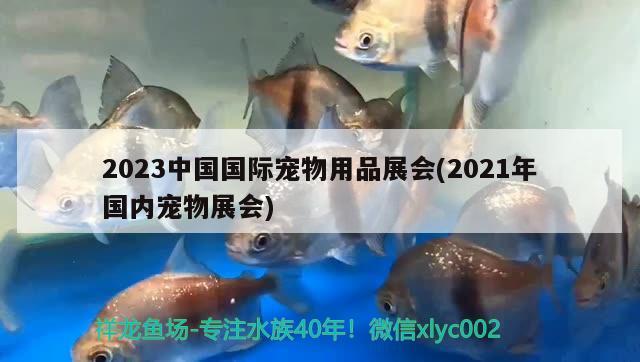 2023中国国际宠物用品展会(2021年国内宠物展会)