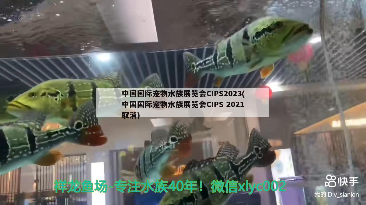 中国国际宠物水族展览会CIPS2023(中国国际宠物水族展览会CIPS2021取消) 水族展会 第2张