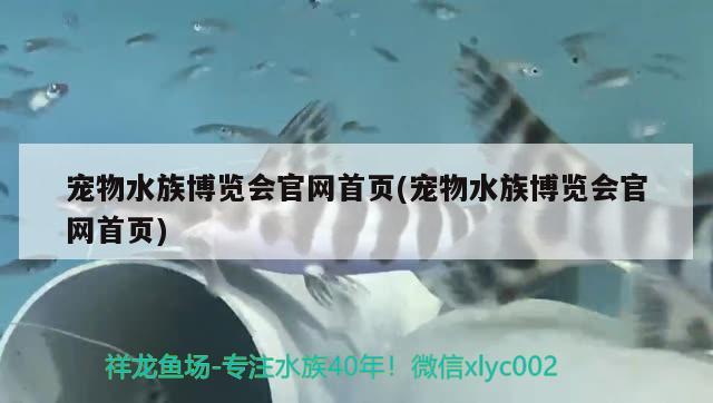 宠物水族博览会官网首页(宠物水族博览会官网首页)