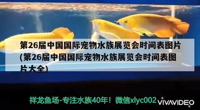 第26届中国国际宠物水族展览会时间表图片(第26届中国国际宠物水族展览会时间表图片大全) 水族展会