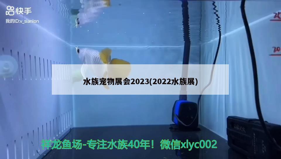 水族宠物展会2023(2022水族展)