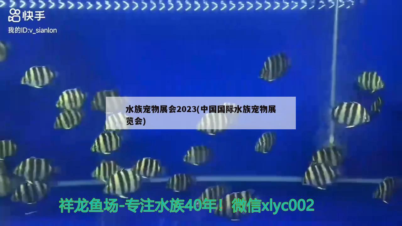 水族宠物展会2023(中国国际水族宠物展览会) 2024第28届中国国际宠物水族展览会CIPS（长城宠物展2024 CIPS）