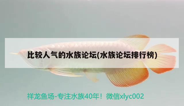 比较人气的水族论坛(水族论坛排行榜) 2024第28届中国国际宠物水族展览会CIPS（长城宠物展2024 CIPS） 第1张