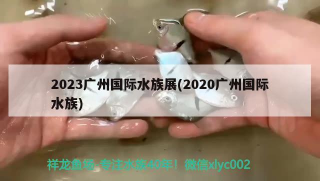 2023广州国际水族展(2020广州国际水族) 水族展会