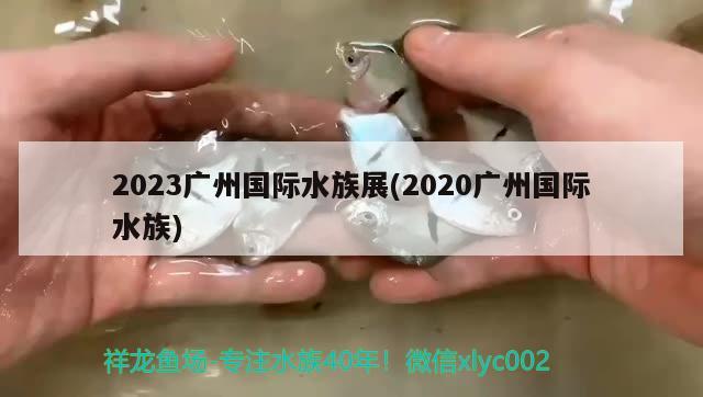 2023广州国际水族展(2020广州国际水族)