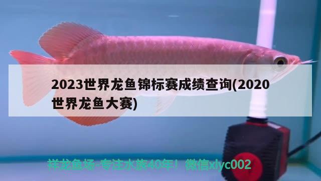 2023世界龙鱼锦标赛成绩查询(2020世界龙鱼大赛) 2024第28届中国国际宠物水族展览会CIPS（长城宠物展2024 CIPS）