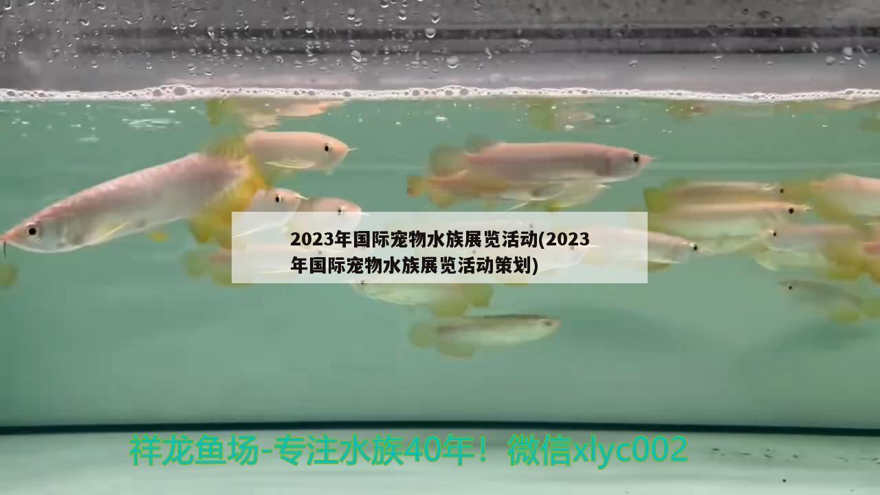 2023年国际宠物水族展览活动(2023年国际宠物水族展览活动策划) 水族展会