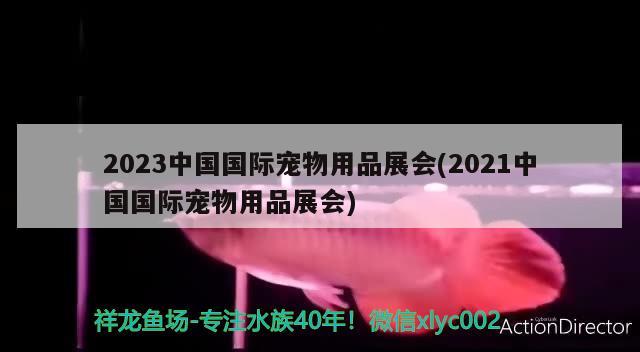 2023中国国际宠物用品展会(2021中国国际宠物用品展会)