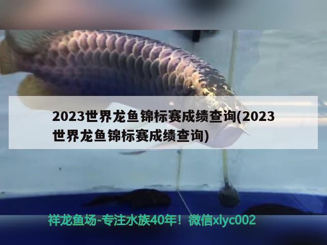 2023世界龙鱼锦标赛成绩查询(2023世界龙鱼锦标赛成绩查询)