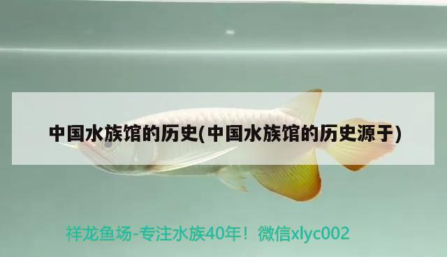 中国水族馆的历史(中国水族馆的历史源于) 2024第28届中国国际宠物水族展览会CIPS（长城宠物展2024 CIPS）