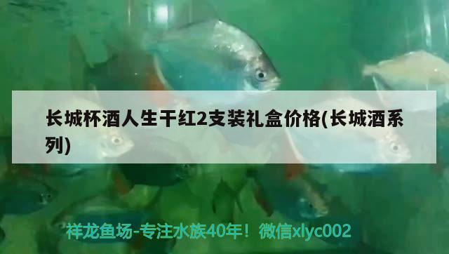 长城杯酒人生干红2支装礼盒价格(长城酒系列)