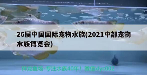 26届中国国际宠物水族(2021中部宠物水族博览会) 2024第28届中国国际宠物水族展览会CIPS（长城宠物展2024 CIPS）