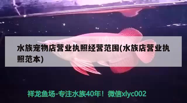 水族宠物店营业执照经营范围(水族店营业执照范本)