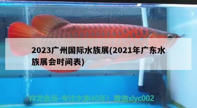 2023广州国际水族展(2021年广东水族展会时间表)