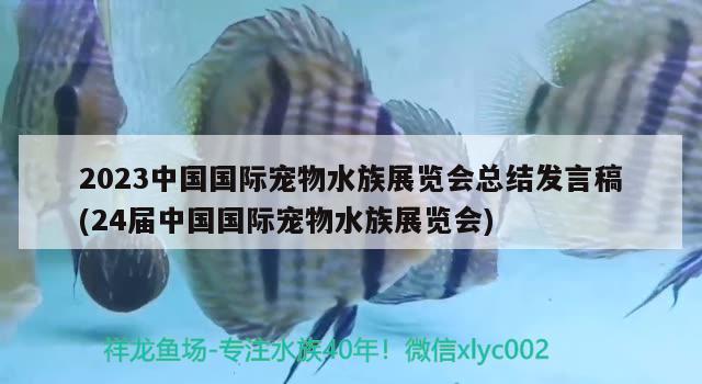 2023中国国际宠物水族展览会总结发言稿(24届中国国际宠物水族展览会) 水族展会